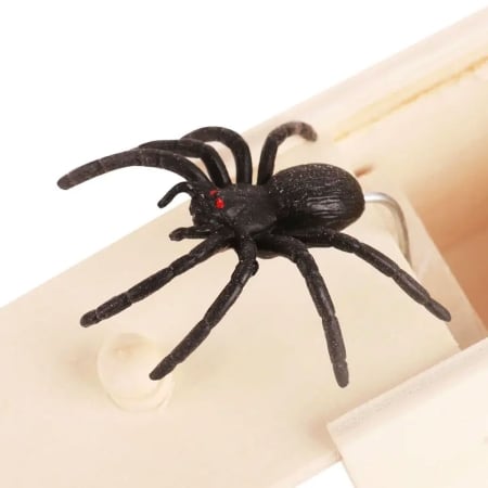 Spider Box Prank | Hysterical Shocking Prank | Anonymous Prank Website | Prank Mail | Ship Your Enemies Glitter | Close Up